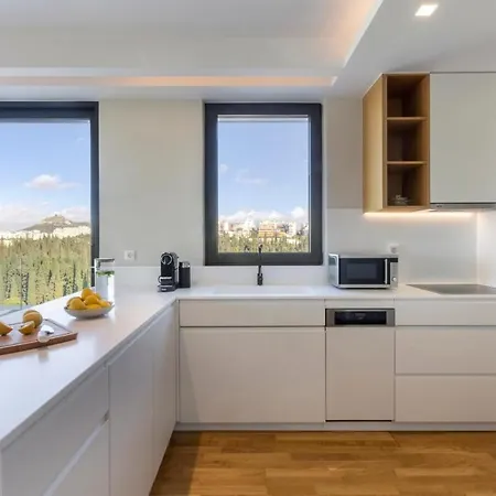 Elegant Penthouse With Acropolis View Athens
