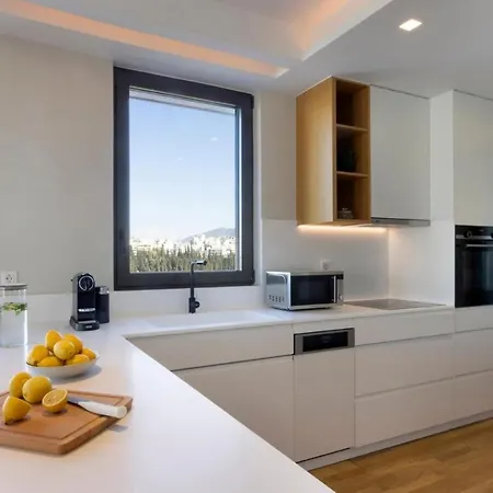 Apartment Elegant Penthouse With Acropolis View Athens